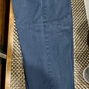 Banana Republic Mason Chino in Blue